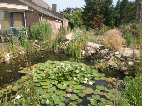 Steyl : Maashoek, Botanischer Garten Jochumhof